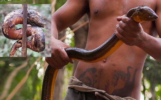 原始技术：使用传统的陷阱技巧在河里抓鳗鱼 [Evolution of primitive technology]