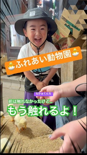 ふれあい動物園🐣ひよことふれあい🐣 #3歳 #cute #動物園 #かわいい #ふれあい体験 #shorts #おでかけ #ひよこ