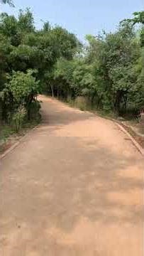 My Visit - KBR Park Hyderabad Telangana