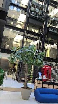 Spetslab was invited to Google's London office and given a facial recognition system.