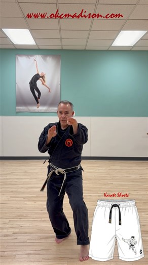 Okinawan Karate Club of Madison on Instagram: "Snake hand look kind of silly until you see them in context. They are a real 'gutter fighting' move that can be quite effective."