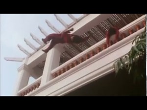 Don The Dragon Wilson (4) "Bloodfist 2" (1990) fight scene archives