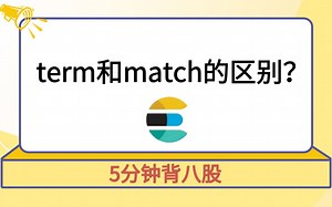 【5分钟背八股】207：ES中term和match的区别？