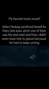 Hedwig saved Harry 🥺💔 | Harry Potter is life
