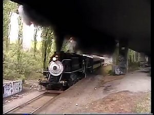 Old steam locomotive darkens the skies with thick black smoke.