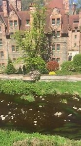 41K views · 468 shares | Live from Dean Village. Beautiful day in Edinburgh. | Edinburgh Spotlight | Facebook