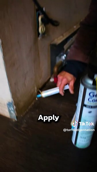 3 Effective Ways to Eliminate Cockroaches