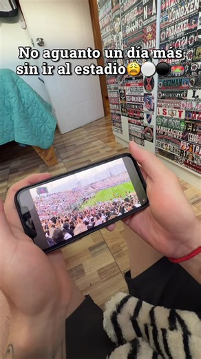 Volver a vibrar con Colo Colo: Noche Alba 2026