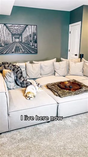 Basement Transformation: From Messy to a Dream Getaway