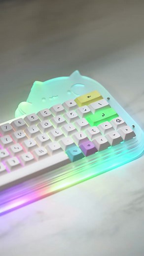 Adorable Cat Mechanical Keyboard Typing Demo