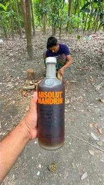 I Made a Real-Looking Vodka Bottle From Wood! 😱 Woodworking Art #shortsfeed #shorts