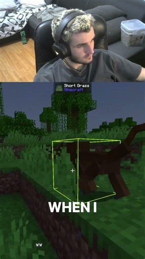 who was that? 🤨 #defleecy #minecraft #twitch