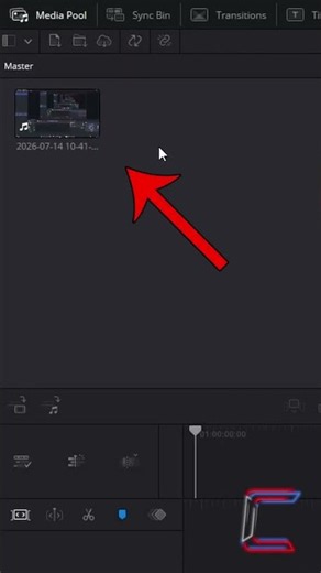 Insert Video Or Audio Only In DaVinci Resolve 20