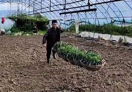 Transporting vegetables in bulk is no longer difficult for him 🤗🤗🌿🌿☘🌈🌈 | Media 2