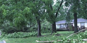 Springfield neighbors lending a hand after severe storm damage