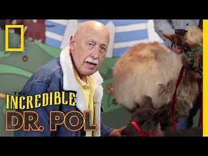 It's Raining Deer - Season 1, Episode 10 | Barnyard Babies with Dr. Pol