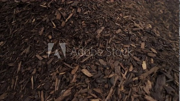mulching garden plants with tree bark mulch. Landscape maintenance. Close up view. Stock Video