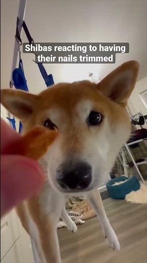 dramatic nail trimming.