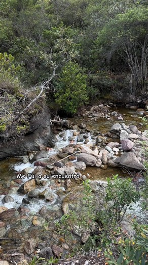 Me fui a su encuentro: paseo por el campo y naturaleza