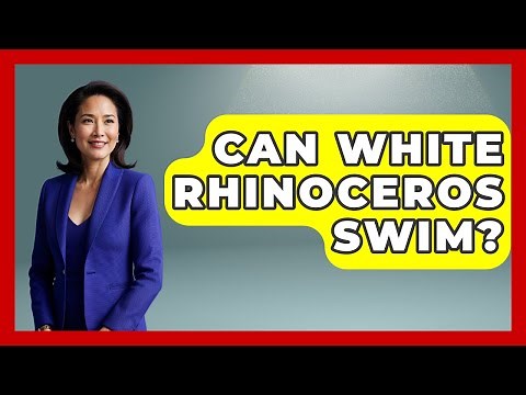 Can White Rhinoceros Swim? - The Wild Life Explorer