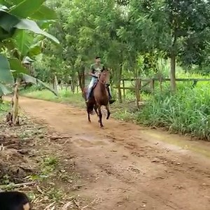 475K views · 3K reactions | Vamos de Notícias ❗️❗️❗️ Por onde ela...