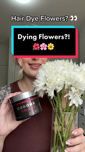 Experimenting with Hair Dye on Flowers: A Colorful Fail