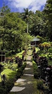 En Selva Negra, cada amanecer trae consigo un recordatorio: la naturaleza no es un recurso infinito, es un tesoro que debemos cuidar. Los bosques que nos rodean, el aire puro que respiramos, el canto de las aves y la calma de la montaña son parte de un legado que pertenece no solo a nosotros, sino a las generaciones que vienen. Aquí, cada paso es respeto, cada acción es conciencia y cada proyecto nace con la misión de preservar. Selva Negra es más que un destino: es un guardián vivo de la biodiv