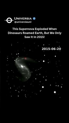 A Supernova We Saw in 2015 Happened When Dinosaurs Roamed Earth