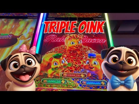 This Game Has A Lot of POTENTIAL!!! Rakin' Bacon Triple Oink Slot Machine | Gambling Pugs