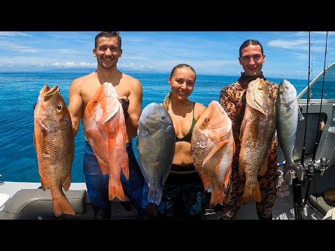 Spearfishing In Paradise - UNTOUCHED Reefs Full Of Life