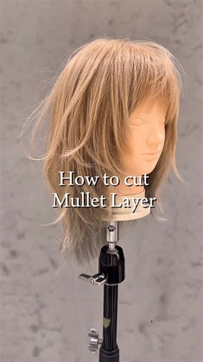 Hitoshi Kure/呉 等至/Cut educator on Instagram‎: "レイヤーカット、マレットレイヤー、ハッシュカットの切り方。 How to cut the mallet layer and hash cut. 木槌层、哈希切割的切割方法。 말렛 레이어, 해시컷 자르는 방법. Cómo cortar la capa de mazo y el corte de hachís. Como cortar a camada de martelo e cortar hash. كيفية قطع طبقة المطرقة وقطع التجزئة. Cara memotong lapisan palu dan potongan hash. #cut#カット動画#クレカット #フェイスレイヤー #ハッシュカット#マレットレイヤー #レイヤーカット"‎