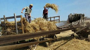 It was 95°F today but it wasn't hot enough to keep me away from the Doughty Valley Steam Days. I love watching the old time steam tractors and machines at work. Here Amish men are loading spelt grain sheaves into the thrashing machine separating the spelt berries from the stalks which are later baled into straw. Be careful, if you watch till the end you might come away quite itchy. I did. JD. There's another tractor/steam show coming up in a couple of weeks in Mt. Hope, Ohio: http://amishcountry