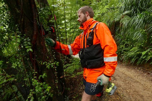 New Zealand Takes the Fight to Pint-Size Predators