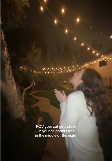 Cat Stuck in Neighbor's Tree at Night