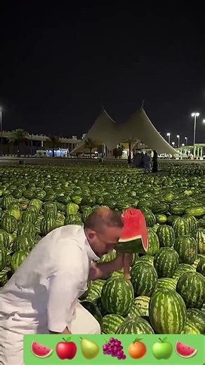 Exploring the Best Fruits for a Healthy Lifestyle