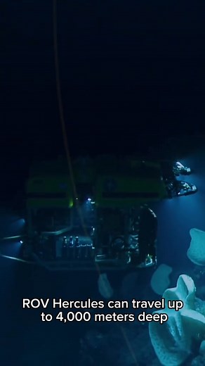 How deep in the can we go with and what do we find down there #marinebiology #marinescience #deepsea #marinetechnology #ocean #nautiluslive #oceanexploration #deepocean #ROVHercules #howdeepistheocean #oceanscience | Ocean Exploration Trust