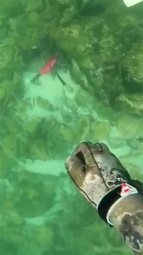 Scuba Diving for Hidden Underwater Treasure