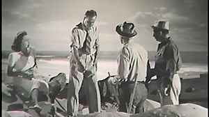 CHARTER PILOT (1940) Lloyd Nolan, Lynn Bari, Arleen Whelan