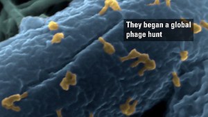 8.1K views · 292 reactions | Phage Therapy Saves Patient from...