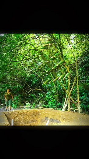 Bamboo Pitfall Trap: Ingenious Bushcraft for Catching Animals