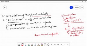 SOLVED:The glomerular filtration rate tends to (increase/decrease) as the concentration of proteins in the plasma increases.