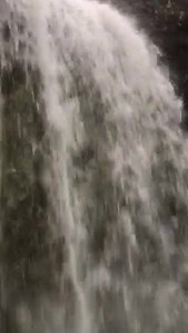 Falling Waters State Park is home to one of the most significant geological features in Florida - the state's highest waterfall! Learn more here: https://www.floridastateparks.org/park/Falling-Waters. #FLStateParks | Florida Department of Environmental Protection