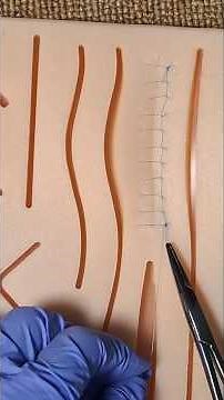 Part 7 | Learning suture pattern Ford Interlocking Suture Technique #fypシ #veterinary #suturing