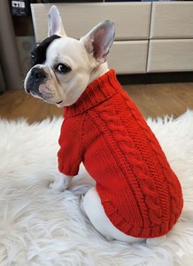 Handmade Knitted Dog Sweater – Warm Pullover for Medium Dog - Etsy