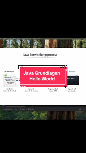 Java Grundlagen: Das erste Programm „Hello World“ #java #lernenmittiktok #lernen #basics #informatik