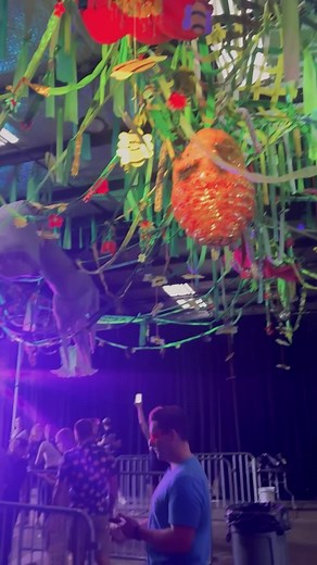 1K views · 293 reactions | Here is a recap of last weekend’s Meow...