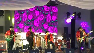 9.8K views · 358 reactions | 4 cartas que buena pieza | Miguel Y Miguel | Facebook