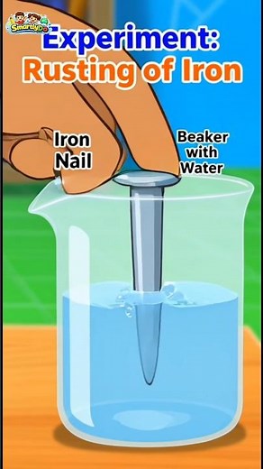 Rusting Experiment |Why Iron Nails Rust?#chemistryexperiment #education #rusting #scienceexperiment