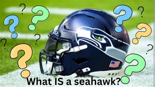 Is a seahawk a real bird? The fascinating story behind the name! | Trees For Tomorrow