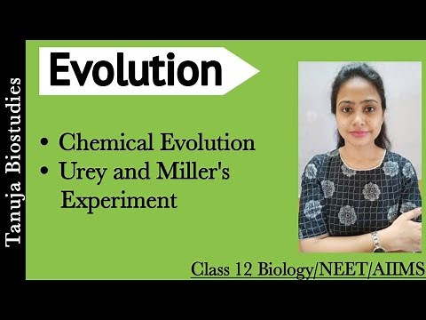 Chemical Evolution-Origin of Life|Urey & Miller Experiment|Oparin & Haldane Theory|Class 12 Biology